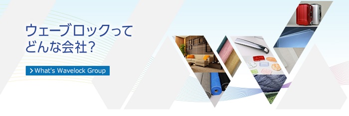 ウェーブロックホールディングス