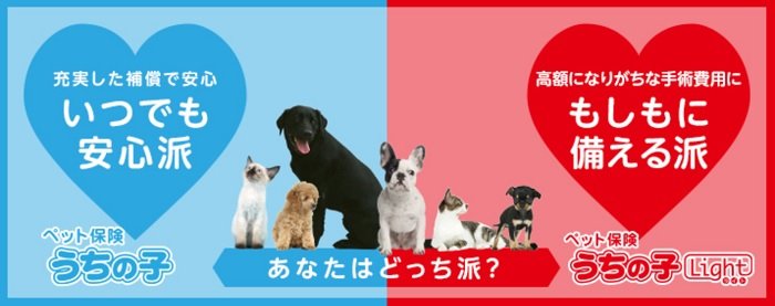 アイペット損害保険