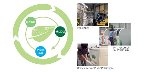国際紙パルプ商事の事業
