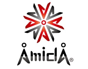 AmidAホールディングス