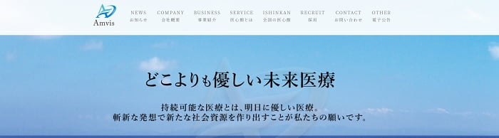 アンビスホールディングス