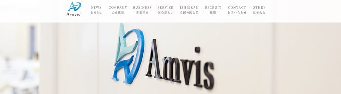 アンビスホールディングス