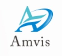 アンビスホールディングス