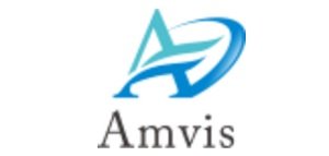 アンビスホールディングス