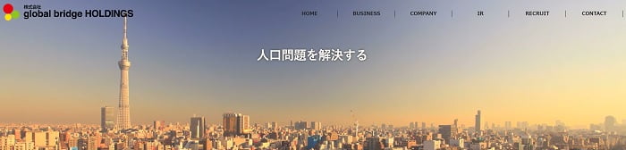 global bridge HOLDINGS