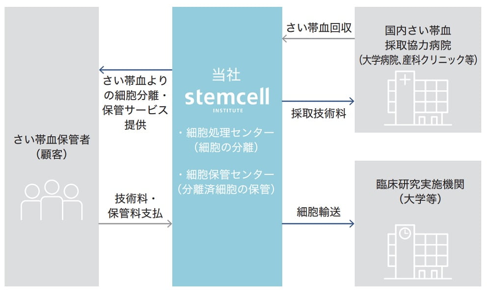 ステムセル研究所の事業系統図