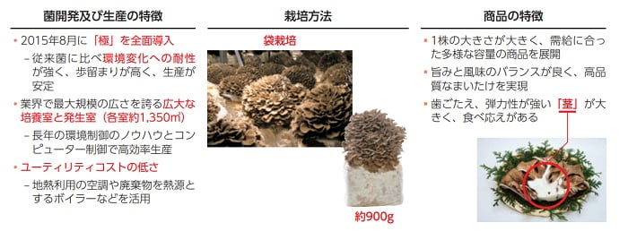 雪国まいたけのきのこの生産及び商品の特徴
