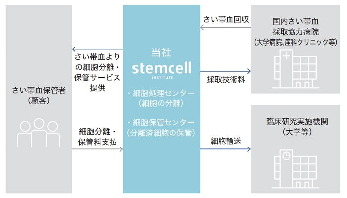 ステムセル研究所の事業系統図