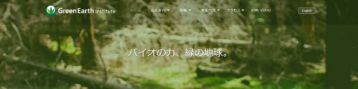 Green Earth Institute