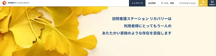 Recovery International