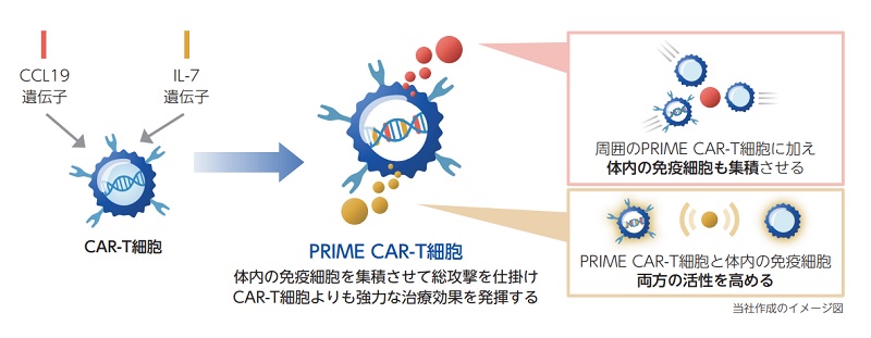 ノイルイミューン・バイオテックのPRIME CAR-T細胞療法