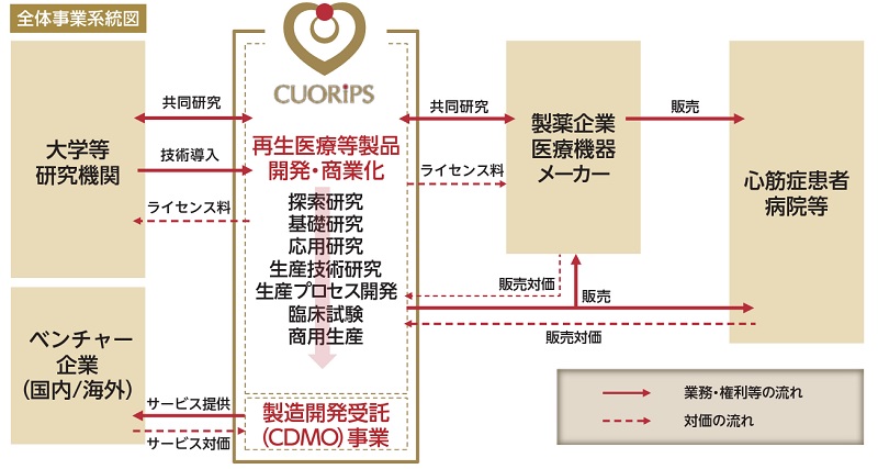 クオリプスの事業系統図