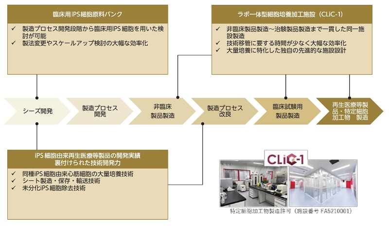 クオリプスのCDMO事業
