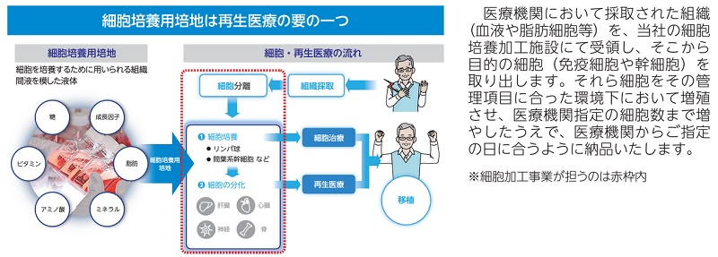 コージンバイオの細胞加工事業