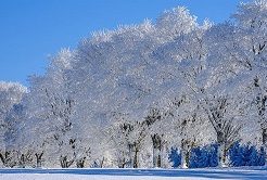 年始1発目のIPOは初値高騰