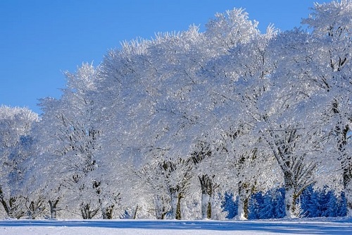 年始1発目のIPOは初値高騰