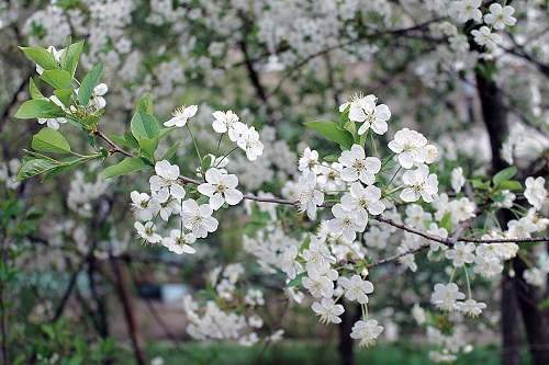 2025年5月のIPOは何社