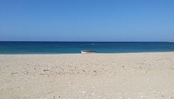 2025年8月のIPOは何社