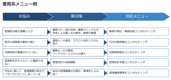 辻・本郷ITコンサルティングのコンサルティング