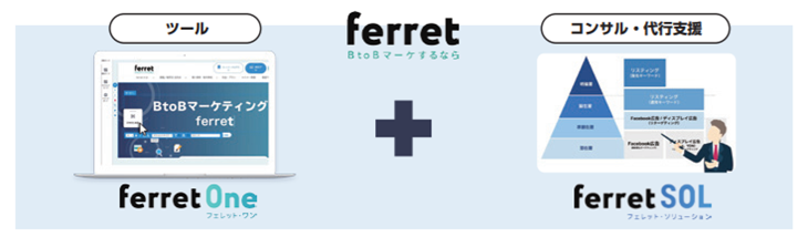 ferret